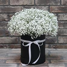 Цветочная композиция из Гипсофила в шляпной коробке #REPLACE_PRED# Ачинск