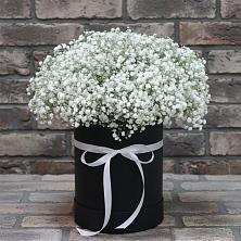 Цветочная композиция из Гипсофила в шляпной коробке в Ачинск